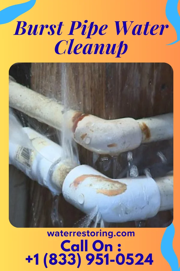 Burst Pipe Water Cleanup in Oakville, IA