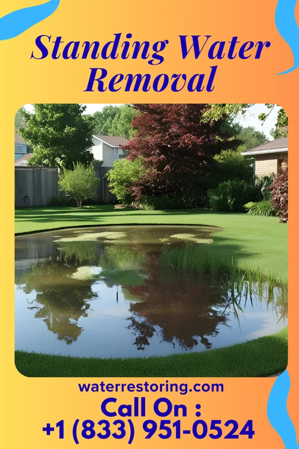 Standing Water Removal in Oakville, IA